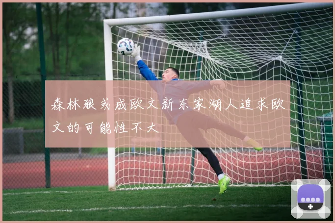 森林狼或成欧文新东家湖人追求欧文的可能性不大